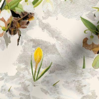 Apricity--can-Spring-be-far-behind-watercolor-green-yellow-grey-white-crocus-and-snowdrops