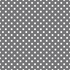 FS White Polka Dots on Steel Grey Gray Background