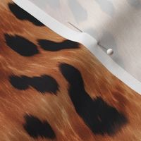 cowhide print