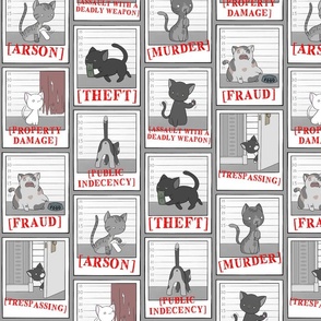 Cat Crimes Vertical Repeat