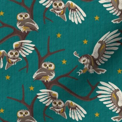 Saw-Whet Owls at Rocky Point Night Swim Med/small 4 inch motifs