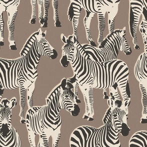 Zebra Safari Wallpaper - Textured, Natural, White, Black and Brown
