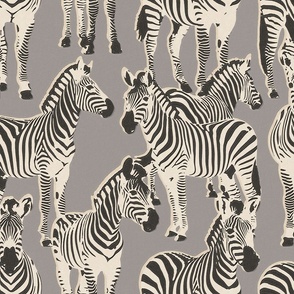 Zebra Safari Wallpaper - Textured, Natural, White, Black and Gray