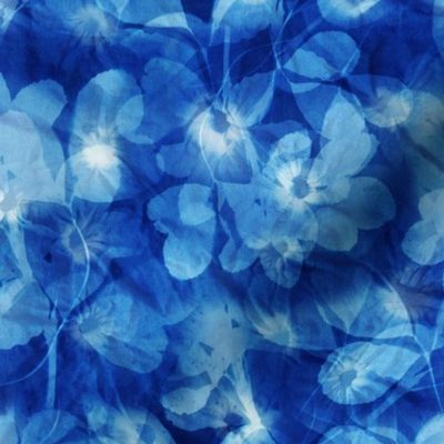 clover_meets_indigo