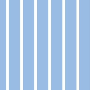 Wide Stripe Vertical Light Blue