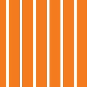 Wide Stripe Vertical Orange