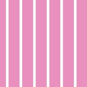 Wide Stripe Vertical Pink
