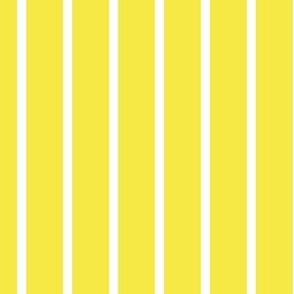 Wide Stripe Vertical Yellow