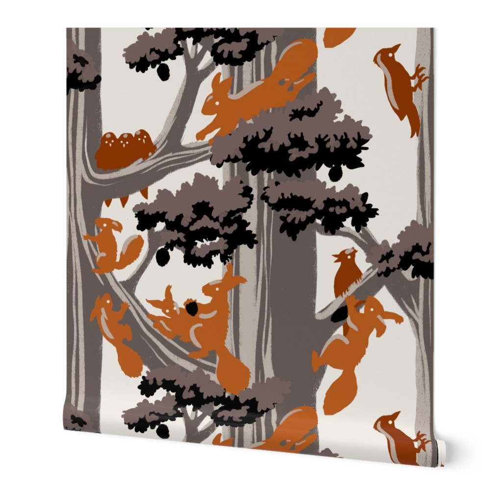 Orange squirrels on trees - wallpaper - big size