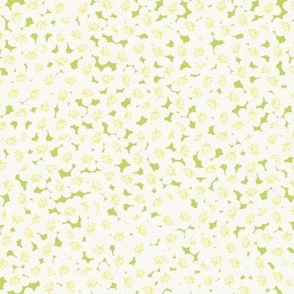 Bedazzling Blossom / Medium Scale / Orange Blossom with Pastel Lime Green