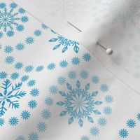 Snowflake-Paisley