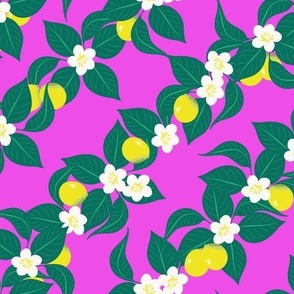 Sweet Summer / Large Scale / Pink Lemonade Lemon Print