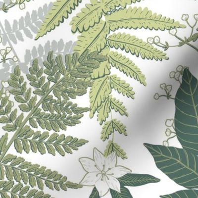  Forest leaves ferns large scale wallpaper  white background