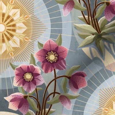 Apricity - Hellebores in the winter sun - Christmas Rose - maroon, pink, yellow, blue - large