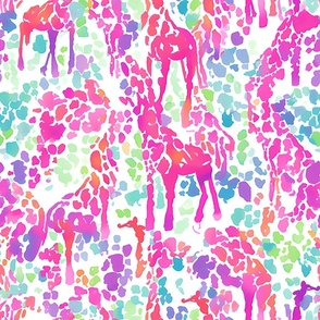 Giraffe Groove – Pink on White Wallpaper – New