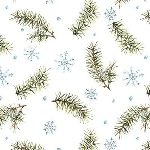 Watercolor pine branhces with snowflakes on white