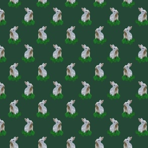baby bunny pattern