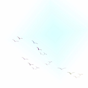 seagulls in the cloudy sky - light blue - white