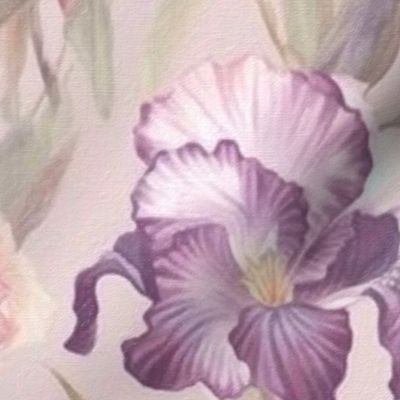 Iris,watercolor,blossom,bloom,vintage flowers 