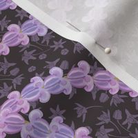 lavender crown flower on chocolate crownflower print