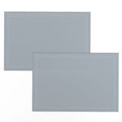 Pantone Intangible Ash Gray Slate Solid