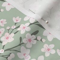 Romantic cherry blossom - springtime in Japan flowers and branches white pink on sage green 