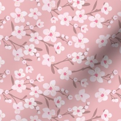 Romantic cherry blossom - springtime in Japan flowers and branches pastel pink brown on blush 