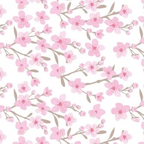 Romantic cherry blossom - springtime in Japan flowers and branches pink beige on white 