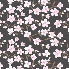 Romantic cherry blossom - springtime in Japan flowers and branches white pink brown on charcoal 