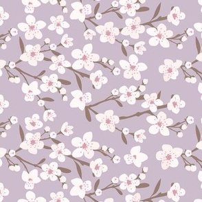 Romantic cherry blossom - springtime in Japan flowers and branches white vintage pink on mauve 