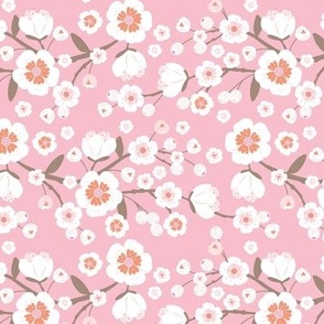 Tokyo Springtime cherry blossom - traditional sakura flowers and branches white pink blush  