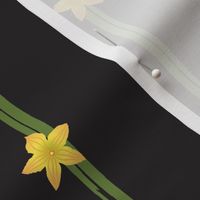 Squash Flower Stripe-XL
