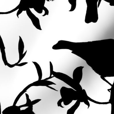 Tropical Hummingbird Silhouettes Black On White 