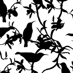 Tropical Hummingbird Silhouettes Black On White 