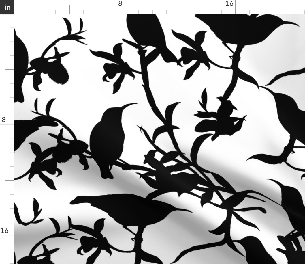 Tropical Hummingbird Silhouettes Black On White 