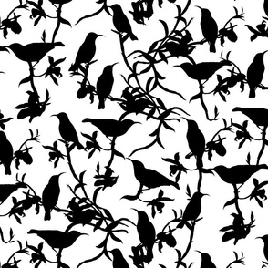 Tropical Hummingbird Silhouettes Black On White  Smaller Scale