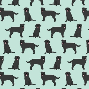 Black lab dogs on mint green 21