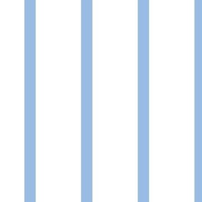 Thin Vertical Stripe Light Blue