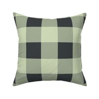 celadon and dull black gingham check