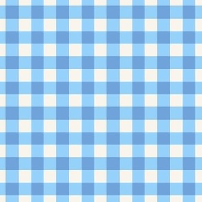 Gingham traditional blue  white checks