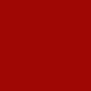 #9f0704 - Red Spark - Fresh Coastal Collection