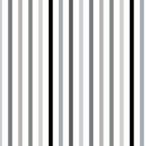 Black and White Monochrome Grey Stripes on a White Background