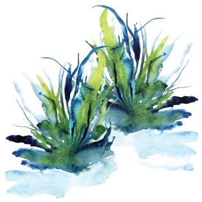 Aquatic Reeds