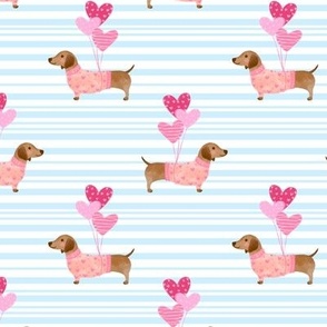 Cute dachshund with heart balloons on blue stripe background