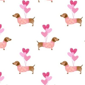 Cute dachshund with heart balloons on white background