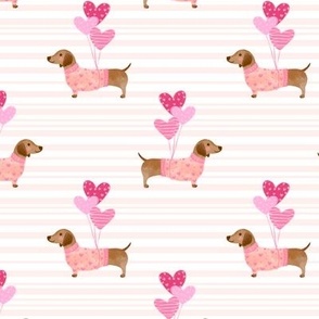 Cute dachshund with heart balloons on pink stripe background