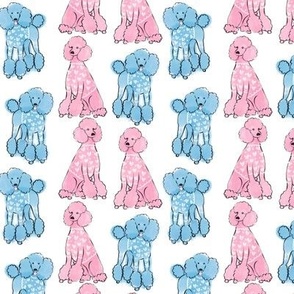 Cute pink and blue poodles, sweet dog design