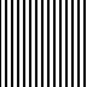 Black and White Medium Stripe on White