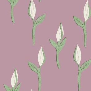 Spring Floral White Tulips - Dusty Rose