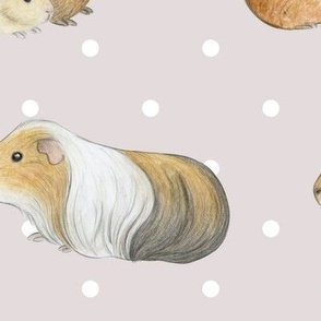 Guinea Pig Rows and Swiss Dot on oyster - large scale